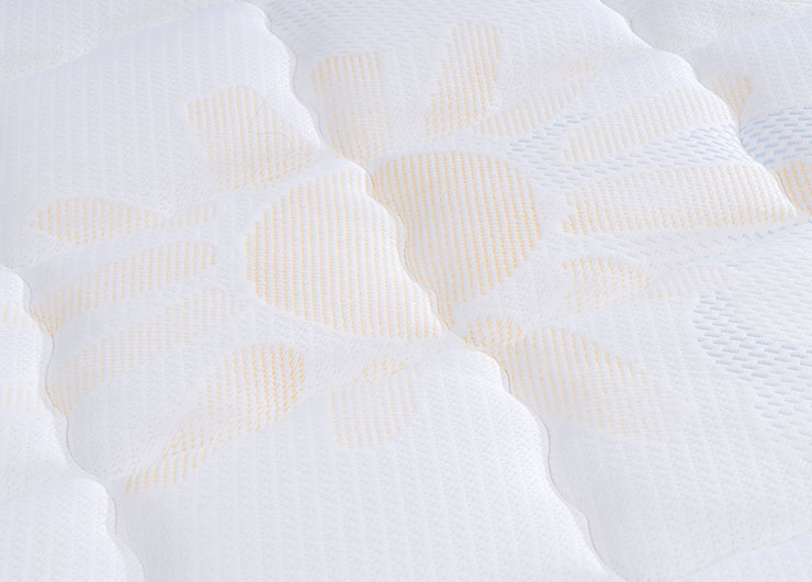 01_0000_esc_2341 拷贝